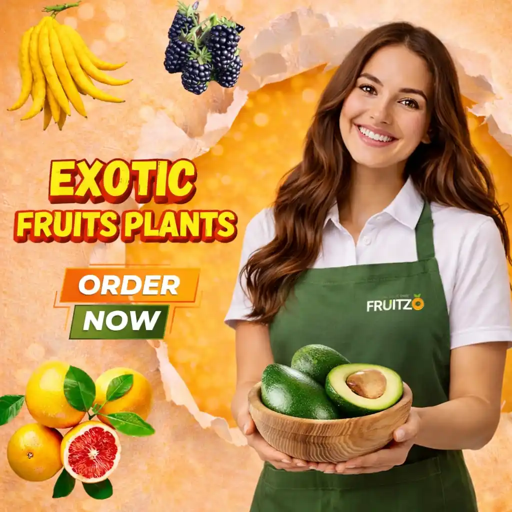 EXOTIC FRUITS.png
